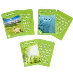 Academic Vocabulary Cards - Set of 120