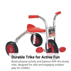 Angeles® SilverRider® 10