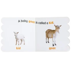 Baby Animals on the Farm (Rookie Toddler)