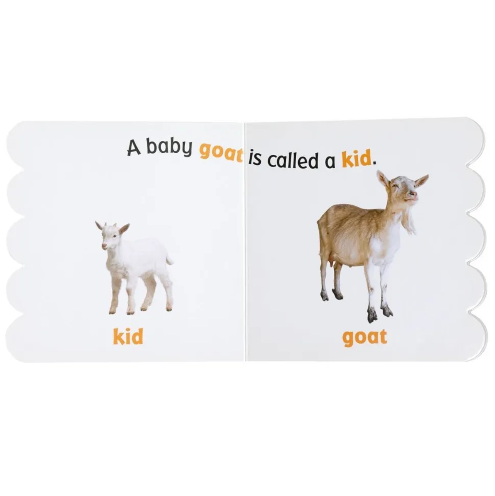 Baby Animals on the Farm (Rookie Toddler)