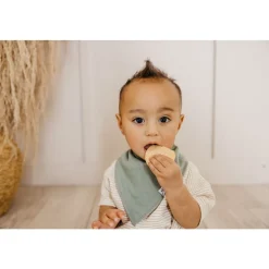 Baby Bandana Bibs, Set of 4 - Haven