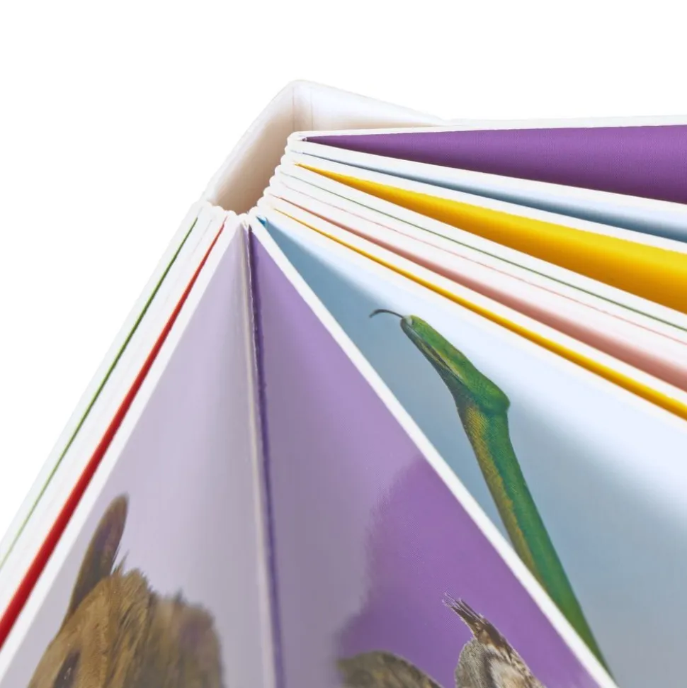Baby Beginnings - 4 book set