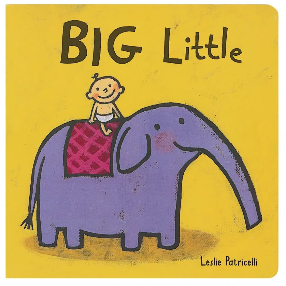 Big Little Book