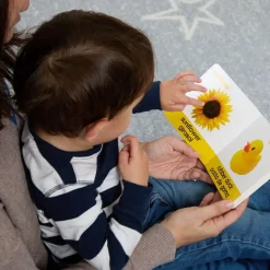 Bilingual Spanish Board Books - 8 book set