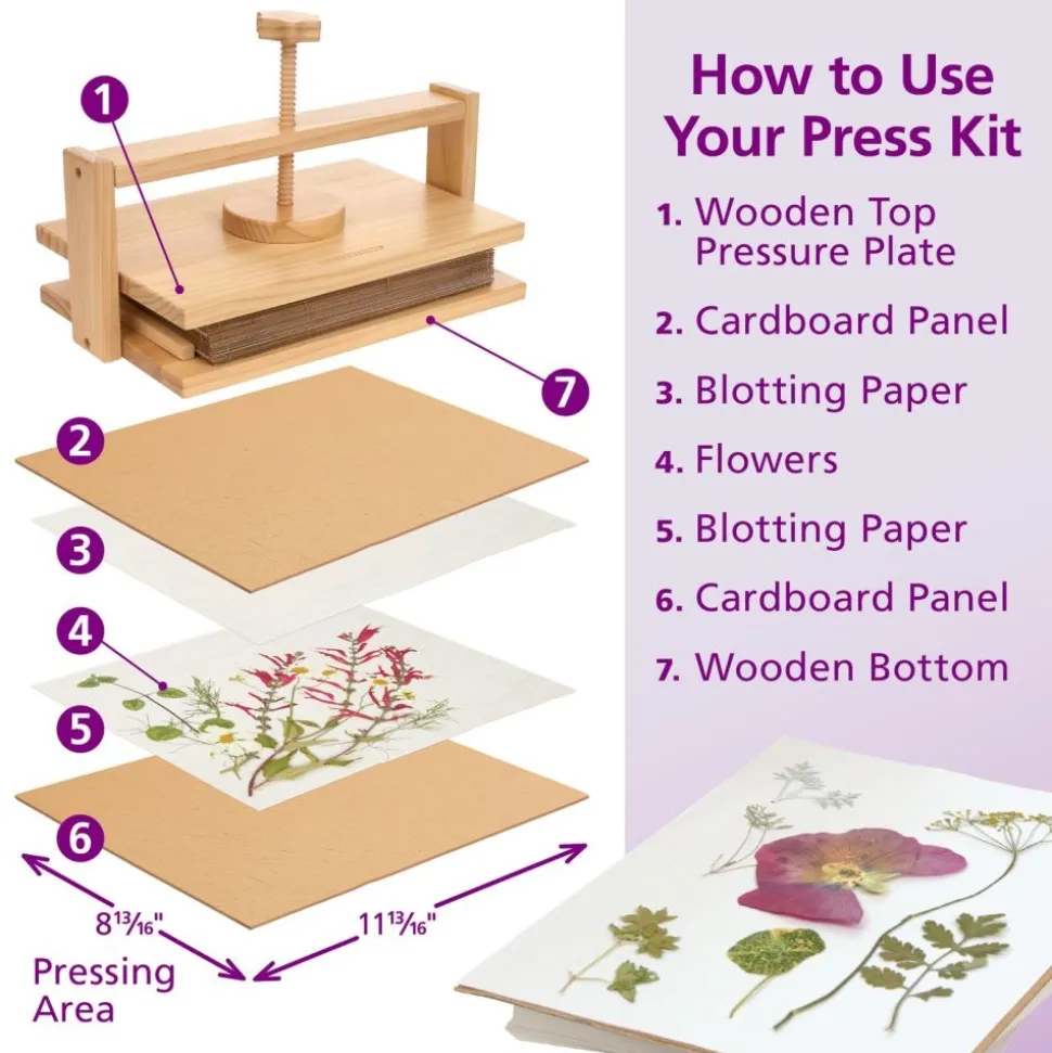 Colorations® Botanical Specimen Press Kit