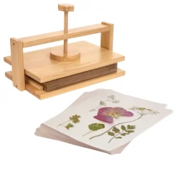 Colorations® Botanical Specimen Press Kit