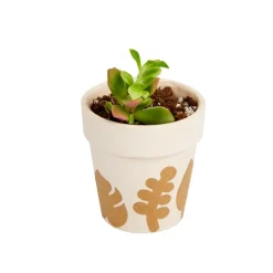 Colorations® Ceramic Flower Pots - Set of 12