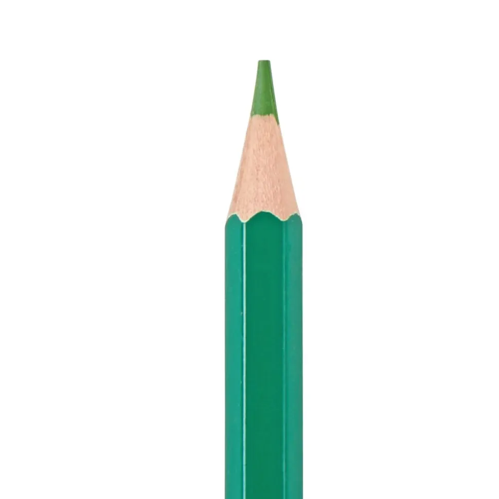 Colorations® Colors Like Me® Classroom Pack Colored Pencils- Set of 240