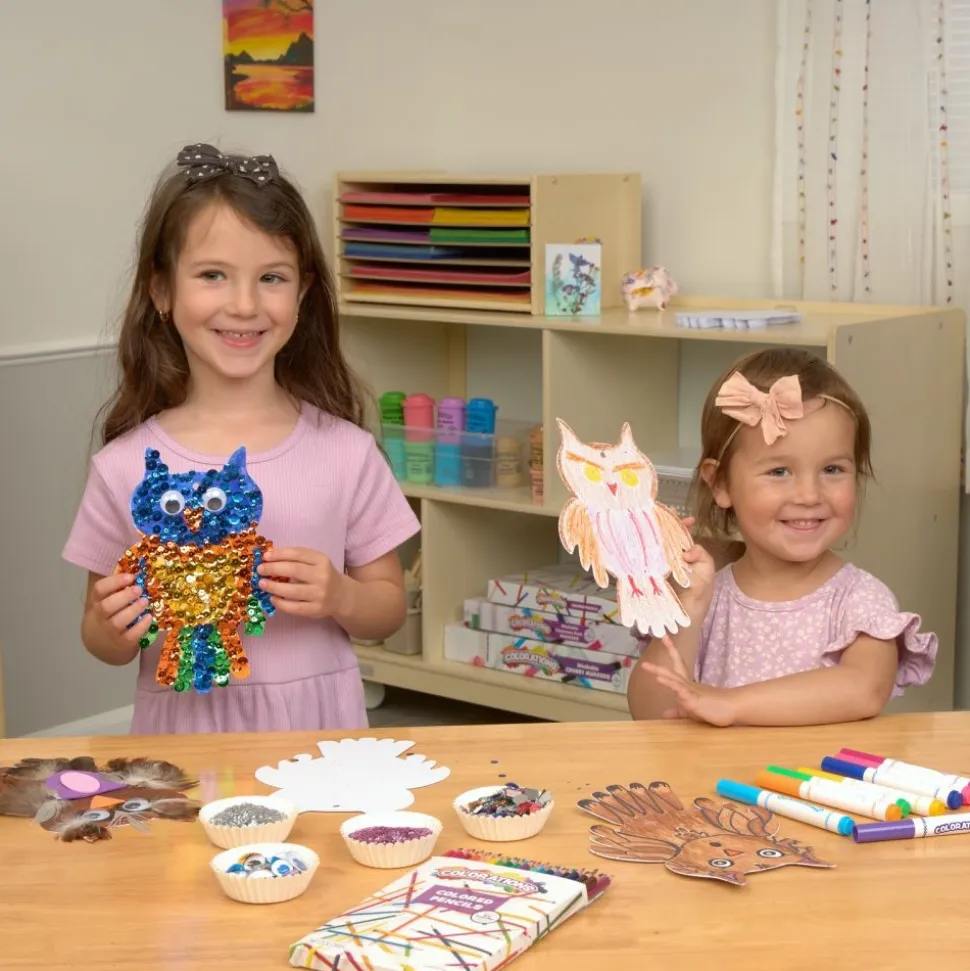 Colorations® Decorate Your Own Paper Owls - Set of 24