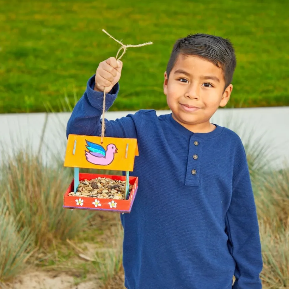 Colorations® Easy-Build Bird Feeder - Set of 6