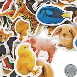 Colorations® Real Photo Animal Foam Stickers - 250 Pieces