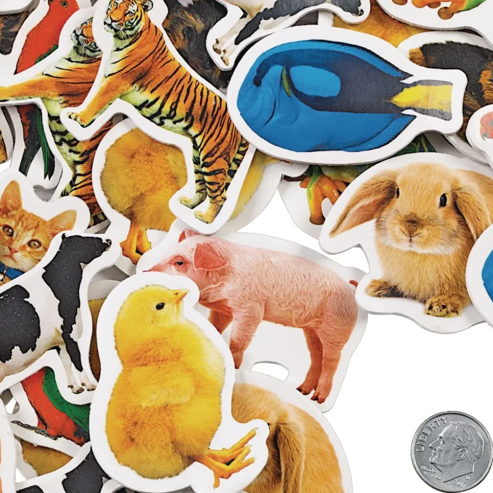 Colorations® Real Photo Animal Foam Stickers - 250 Pieces