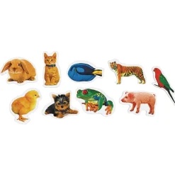 Colorations® Real Photo Animal Foam Stickers - 250 Pieces