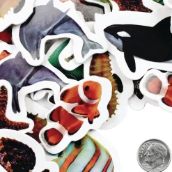 Colorations® Sea Life Photo Foam Stickers - 250 Pieces