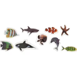 Colorations® Sea Life Photo Foam Stickers - 250 Pieces