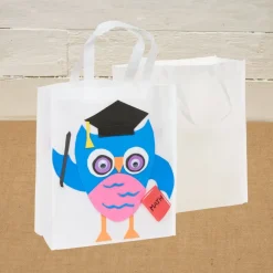 Colorations® Summer Wise Owl Tote Craft Kit - Makes 12 Crafts