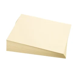 Colorations® Tagboard - 9" x 12", Manila