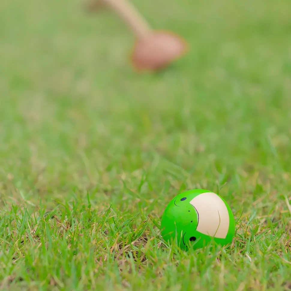Croquet Set
