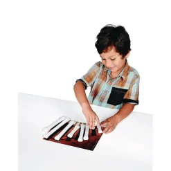 Dinosaur Bones Match & Measure Set