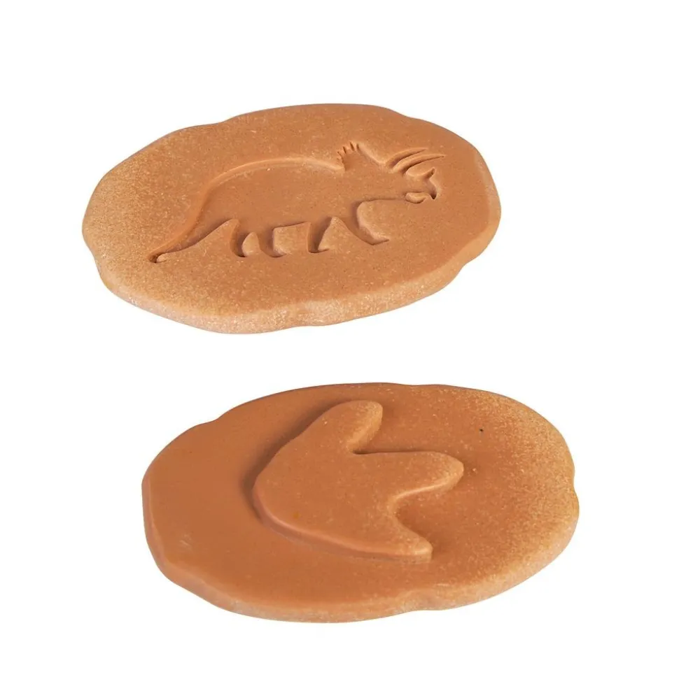 Dinosaur Footprints - Set of 8