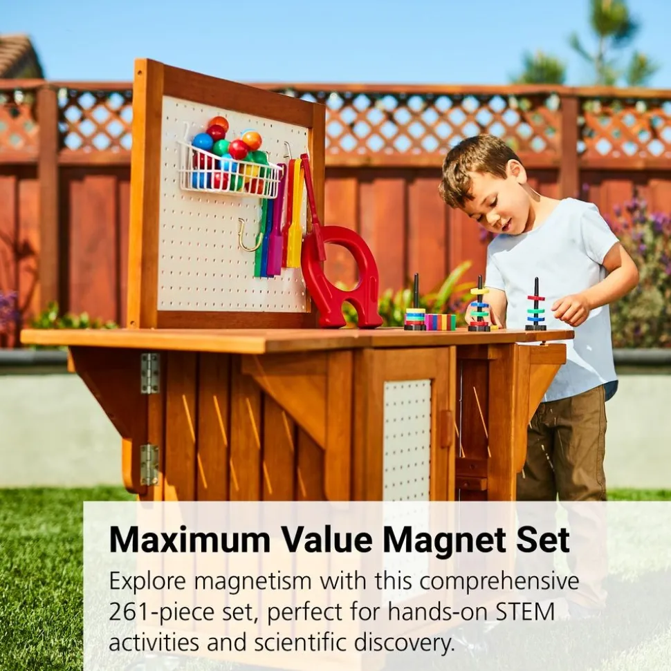 Discount School Supply® Maximum Value Magnet Set - 261 Pieces