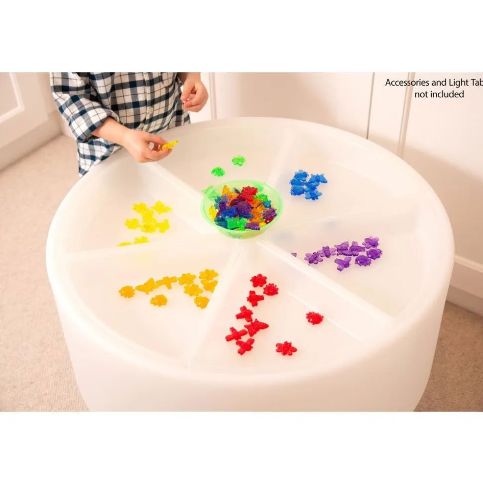 Discovery Trays - Set of 6