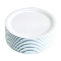 Dozen 9" Melamine Plates