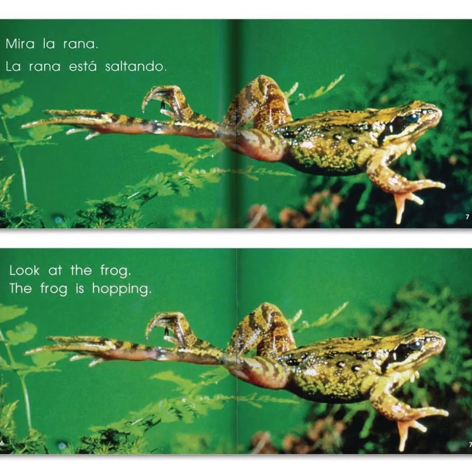Dual Language Literacy Starter Kit Complete Set