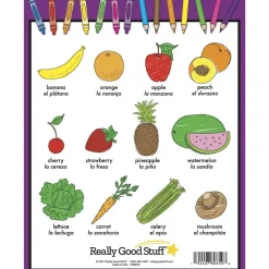 Dual Language Themed Picture Dictionary (Lenguaje Dual - Diccionario grafico por temas) - Set of 12