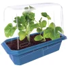Edible Garden - Set of 6