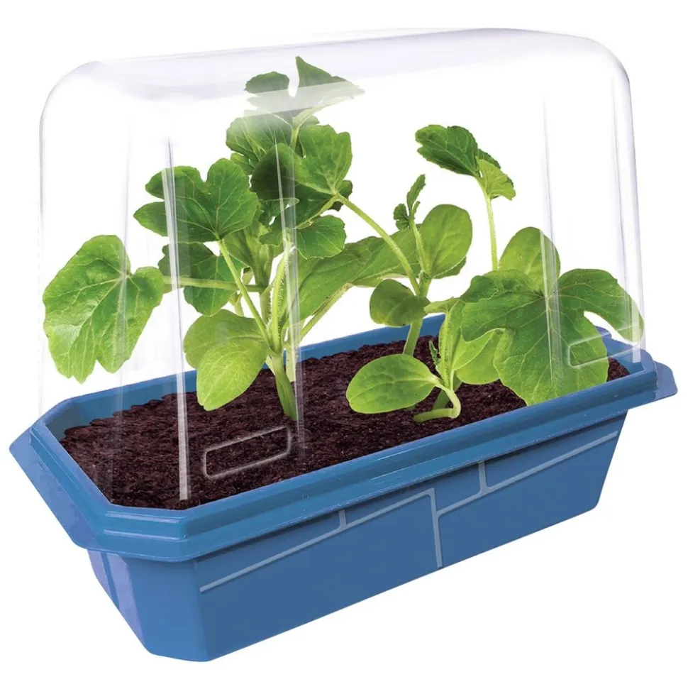 Edible Garden - Set of 6
