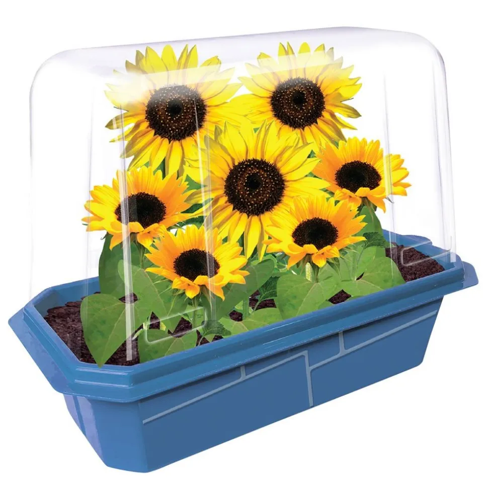 Edible Garden - Set of 6