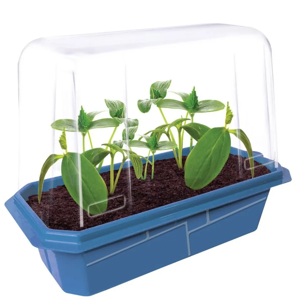 Edible Garden - Set of 6