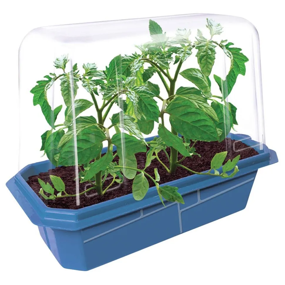 Edible Garden - Set of 6