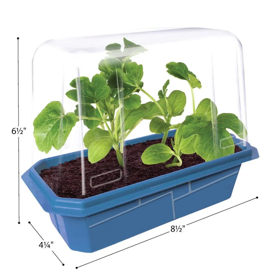 Edible Garden - Set of 6