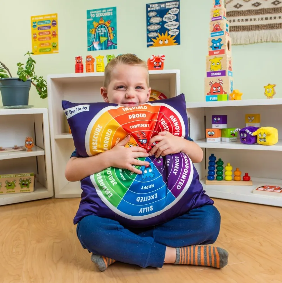 Emotions Wheel Pillow
