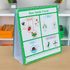 Enhance Science Lessons With This Jam-Packed Flip Book