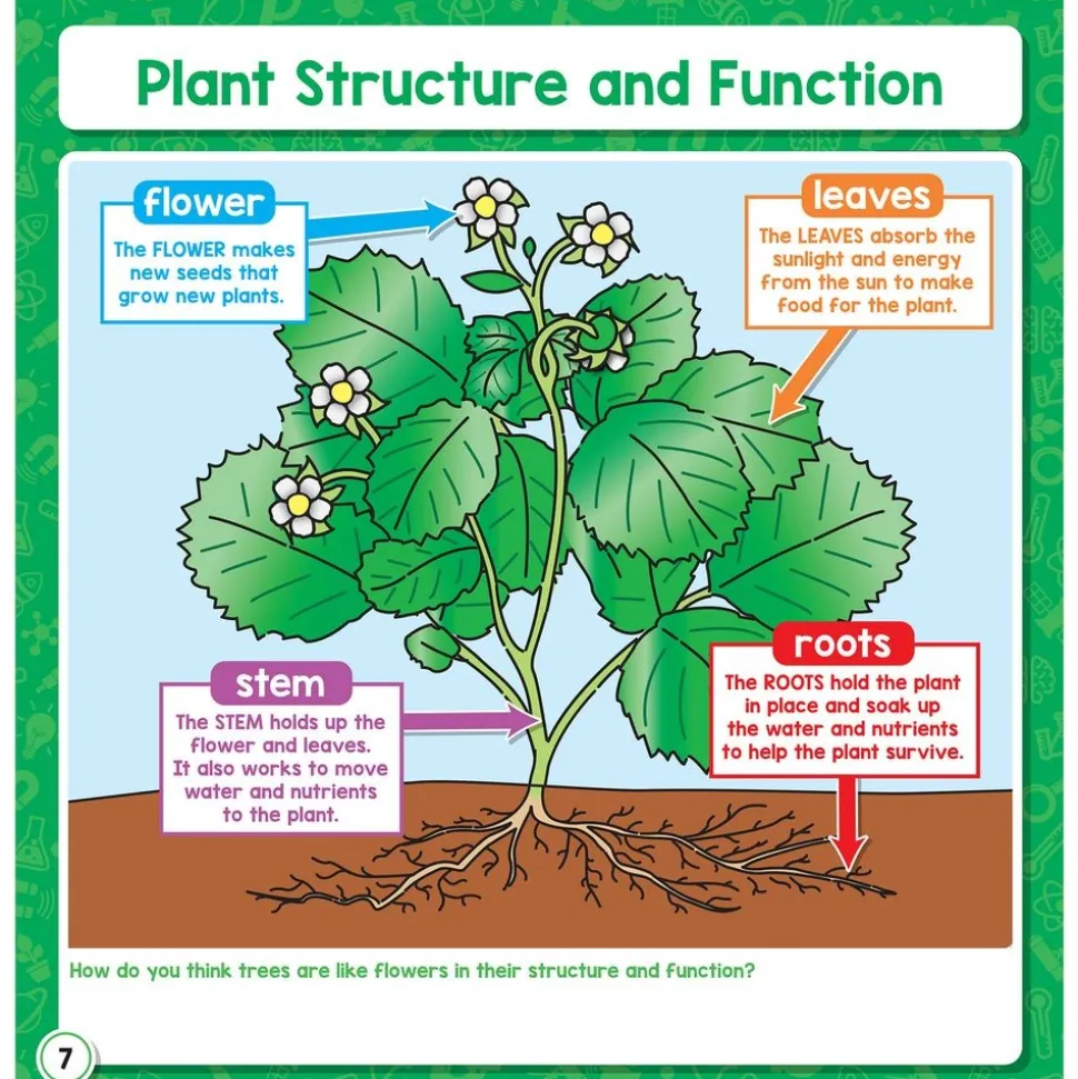 Enhance Science Lessons With This Jam-Packed Flip Book