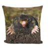 Environments® Baby Woodland Animal Pillows - Set of 4