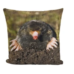 Environments® Baby Woodland Animal Pillows - Set of 4
