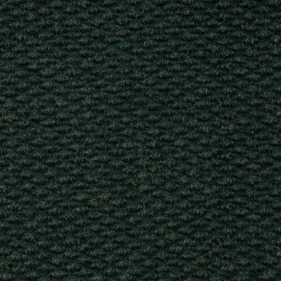 Environments® Dunes Indoor/Outdoor Carpet 6' x 9' - Coastal Pine
