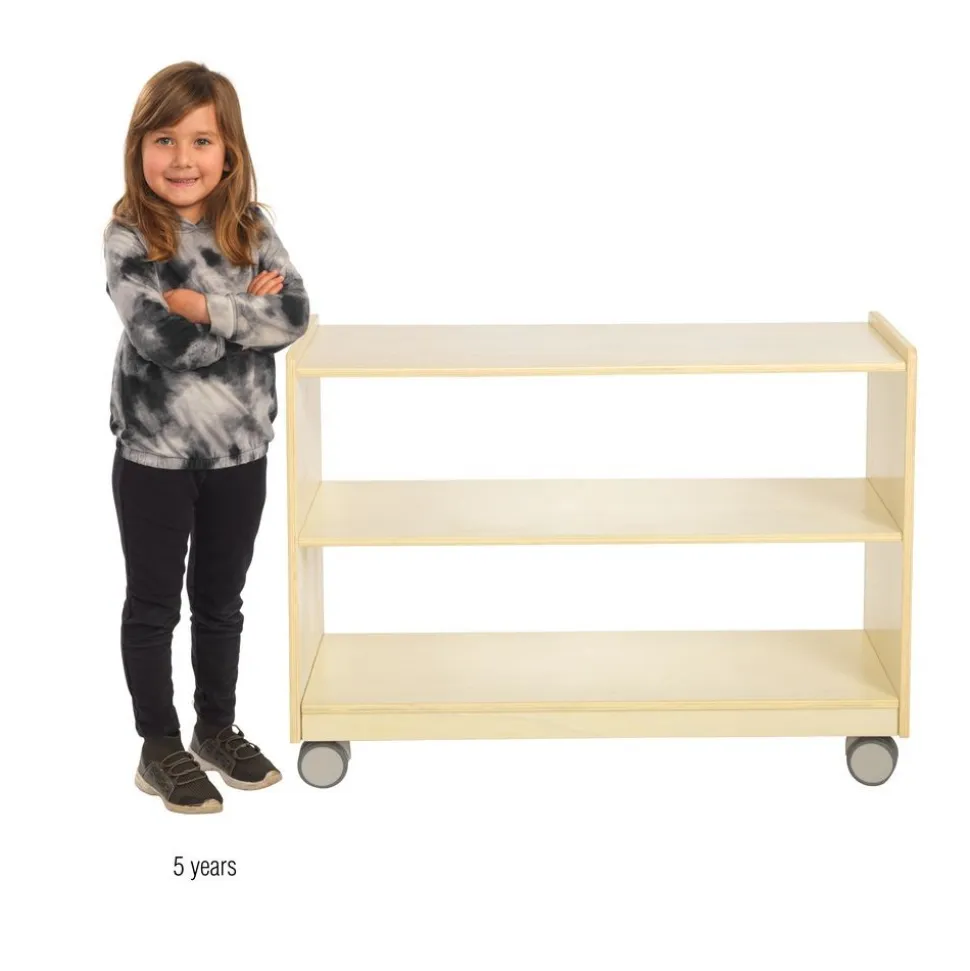 Environments® Mobile 23 3/4"H Storage with Clear Back - Assembled