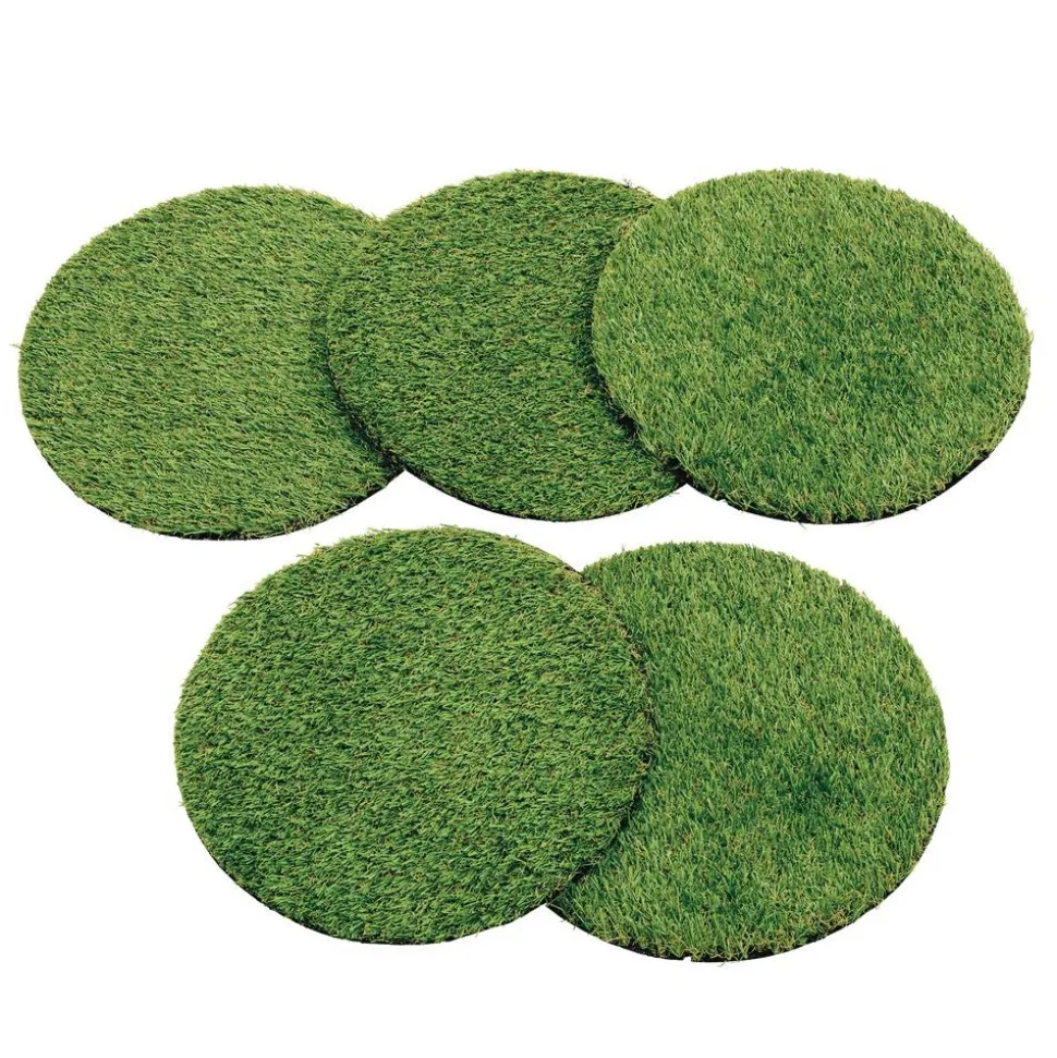 Environments® Nature Walk Roomscape