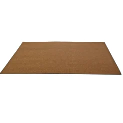 Environments® Tides Indoor/Outdoor Carpet 4' x 6' - Reef Rust