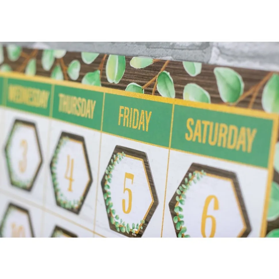 Eucalyptus Calendar Bulletin Board - 91 Pieces