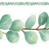 Eucalyptus Die Cut Border Trim - 12 Pieces