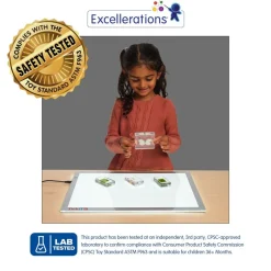 Excellerations® Acrylic Butterfly Life Cycle Specimens - Set of 4