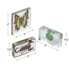 Excellerations® Acrylic Butterflies, Bugs and Sea Specimens - Set of 12