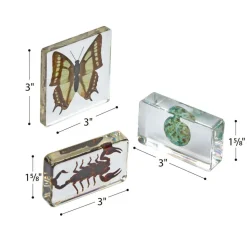 Excellerations® Acrylic Butterflies, Bugs and Sea Specimens - Set of 12