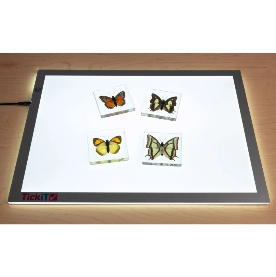Excellerations® Acrylic Butterfly Specimens - Set of 4
